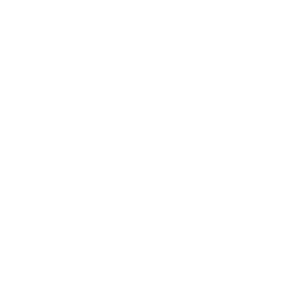 Cristiane Guimarães Fisioterapeuta